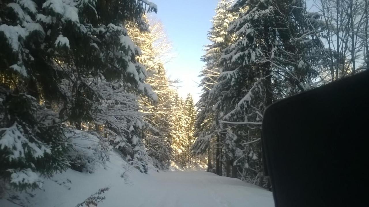 Chata Goralska Wojtasowka Kamesznica المظهر الخارجي الصورة